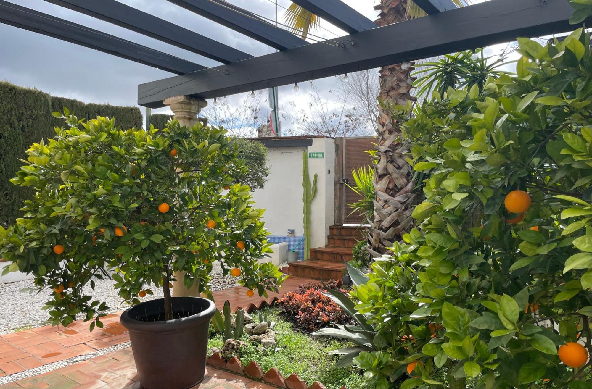 San Miguel B&B Granada — Photos 3